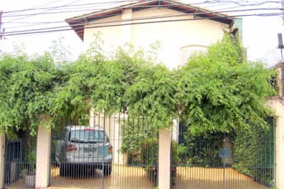 Psicologa clinica e Psicanalista em null