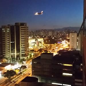 Priscila Asimoto Psicologia e Desenvolvimento Humano em null