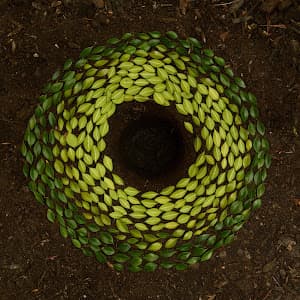 Mente Plena - Consolação em null