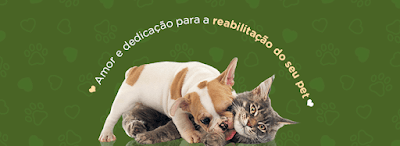 Fisio Care Pet Santana - Fisioterapia, Ortopedia, Neurologia, Ozonioterapia e Acupuntura Veterinária em null
